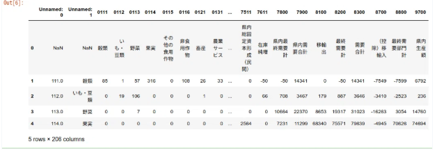 データフレーム読み込み結果